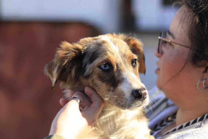 Adopta, no compres: el mensaje urgente de Siempre Fiel en Salamanca